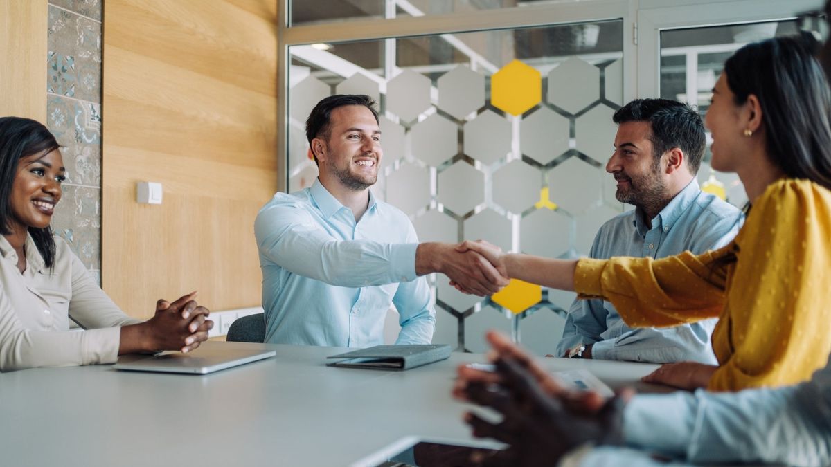 Наша команда профессионалов